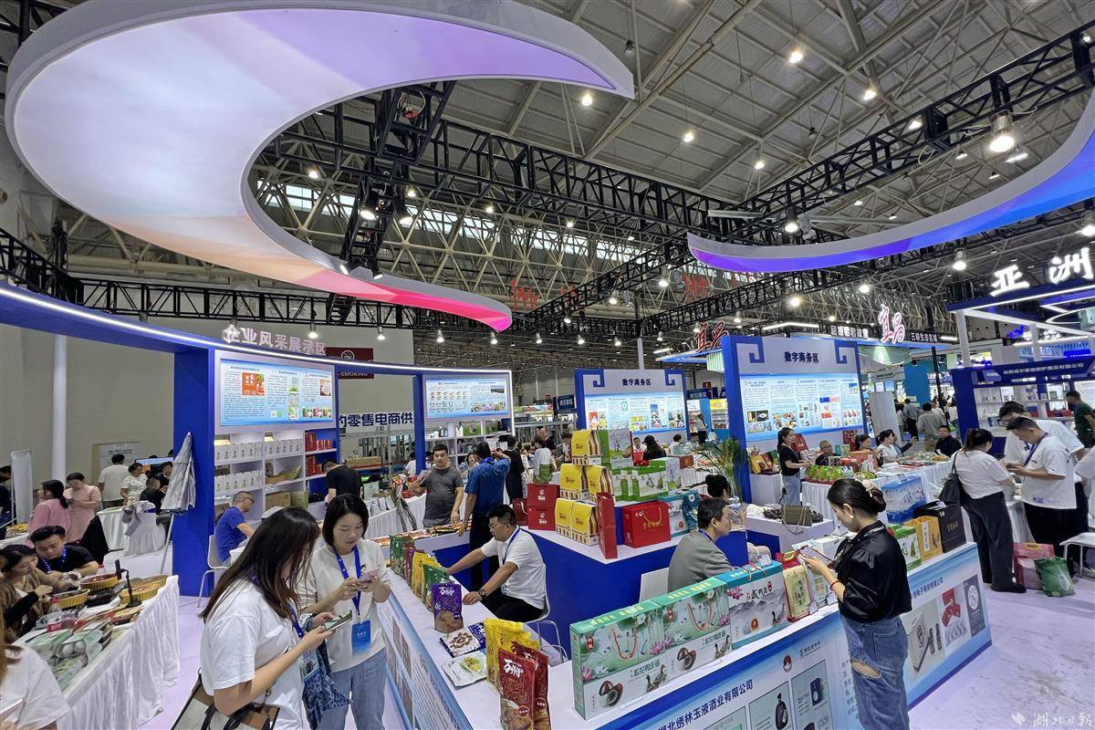 五龙争霸下载